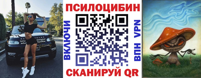 Псилоцибиновые грибы GOLDEN TEACHER  где купить наркоту  Тимашёвск 